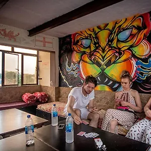 https://backpacker-panda-friends-agra.agrahotelsindia.net